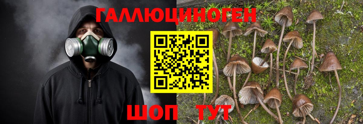 Псилоцибиновые грибы MAGIC MUSHROOMS  Вход с VPN  Истра 